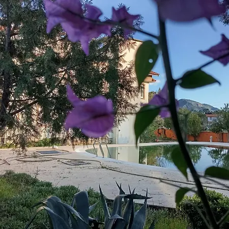 Nosi Dalyan Ortaca